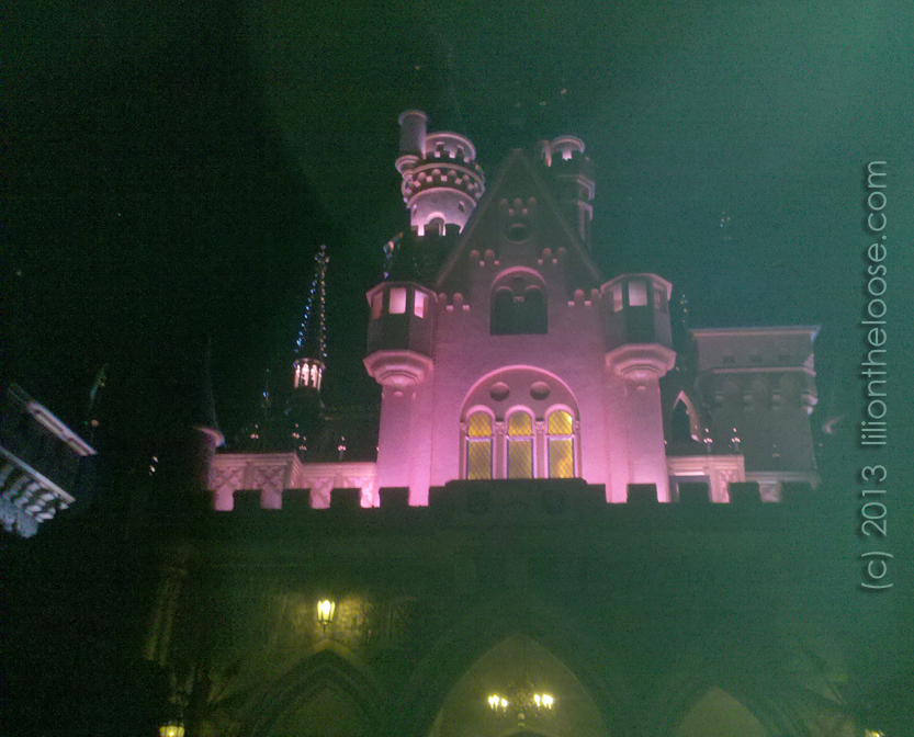 A quick view of Disneyland Castle in the dark, before dashing home.