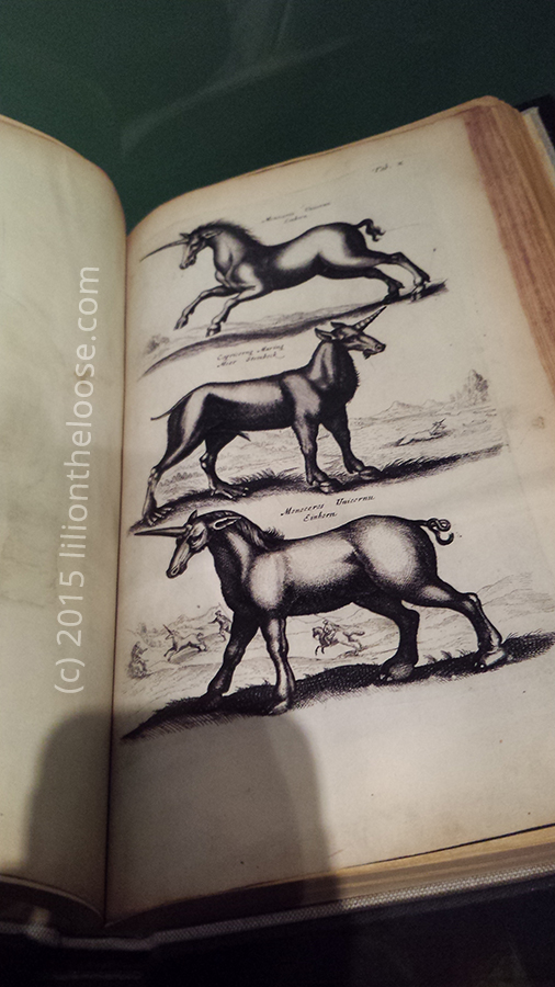 Unicorns in a Medieval Bestiary. 