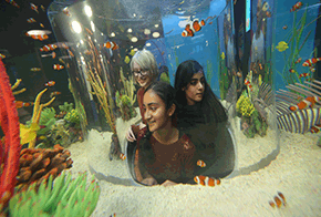 Discovery-Center-Fishy-Fun-Fact