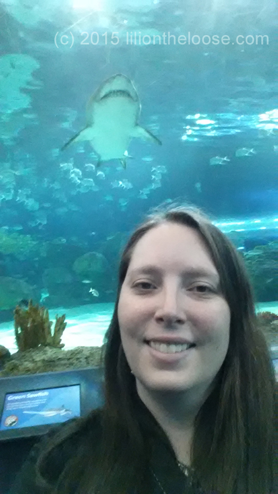 Shark Selfie!