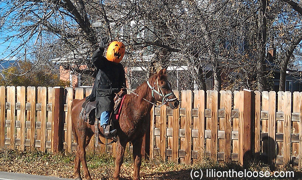 The elusive Headless Horseman of Gunbarrel / Boulder, Colorado.