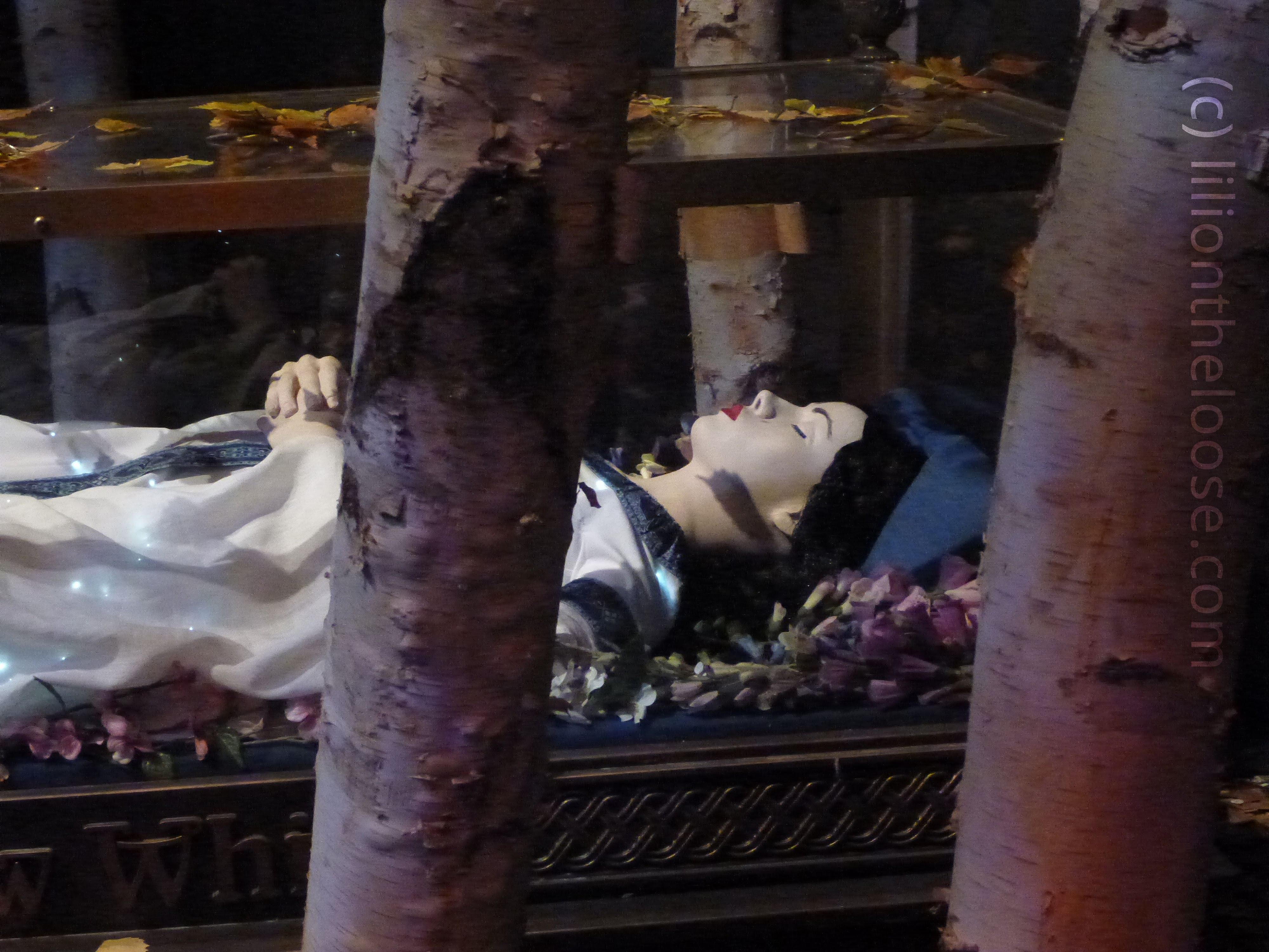 Sleeping Beauty...wait no...thats Snow White.