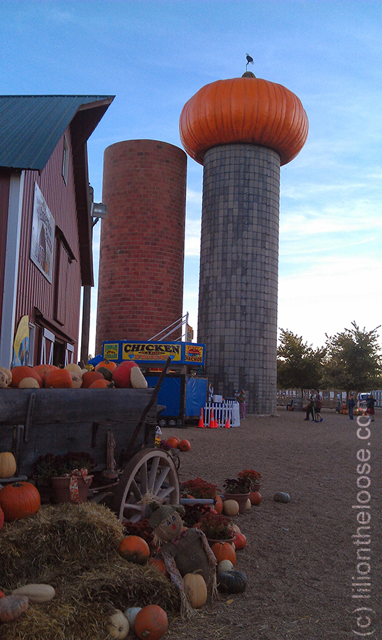 The iconic Pumpkin on top of the grain tower. 
