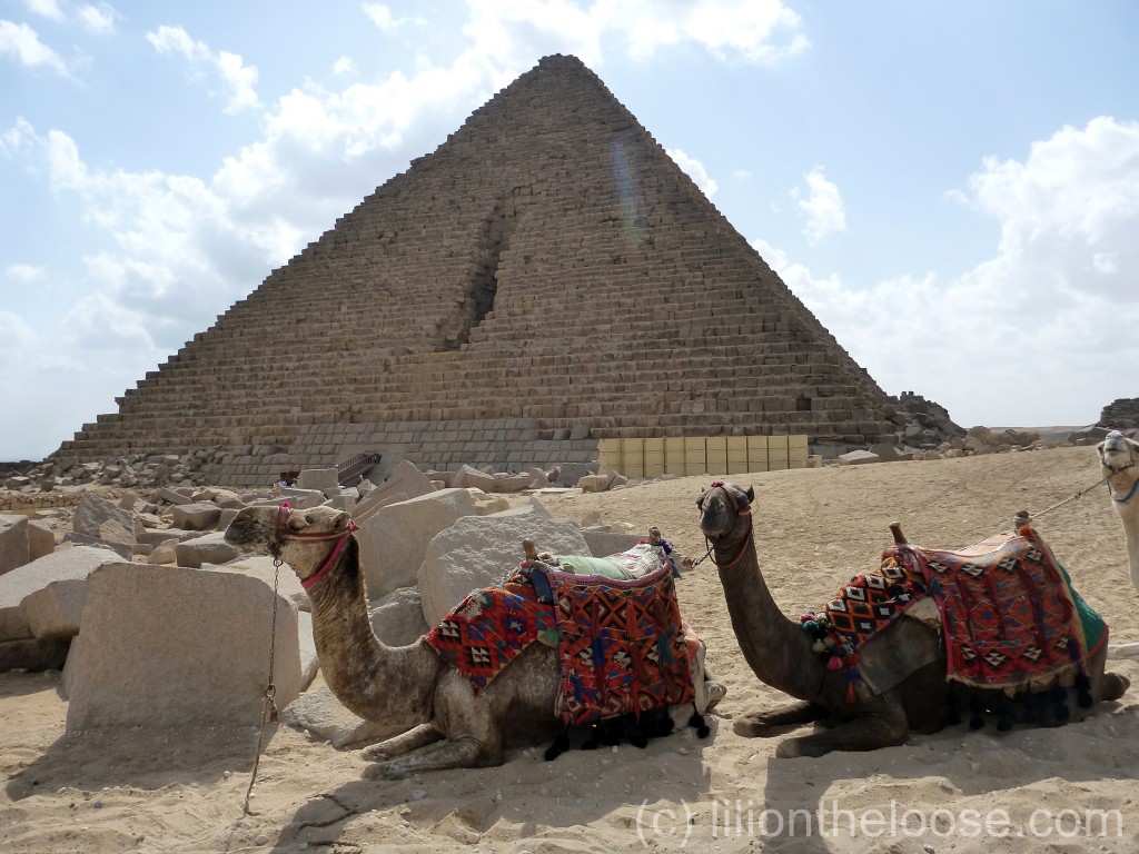 Stereotypical photo of Camels in front of a Pyramid.
