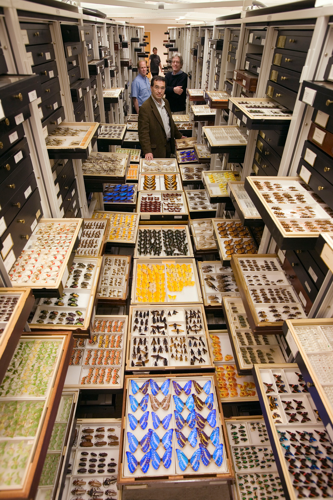 Entomology Collection
