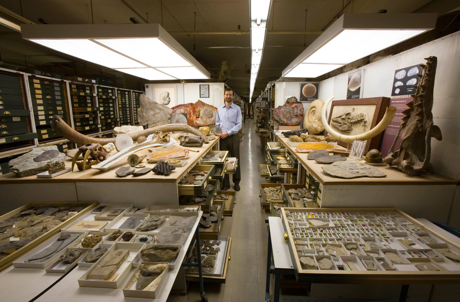 Paleobiology Collection