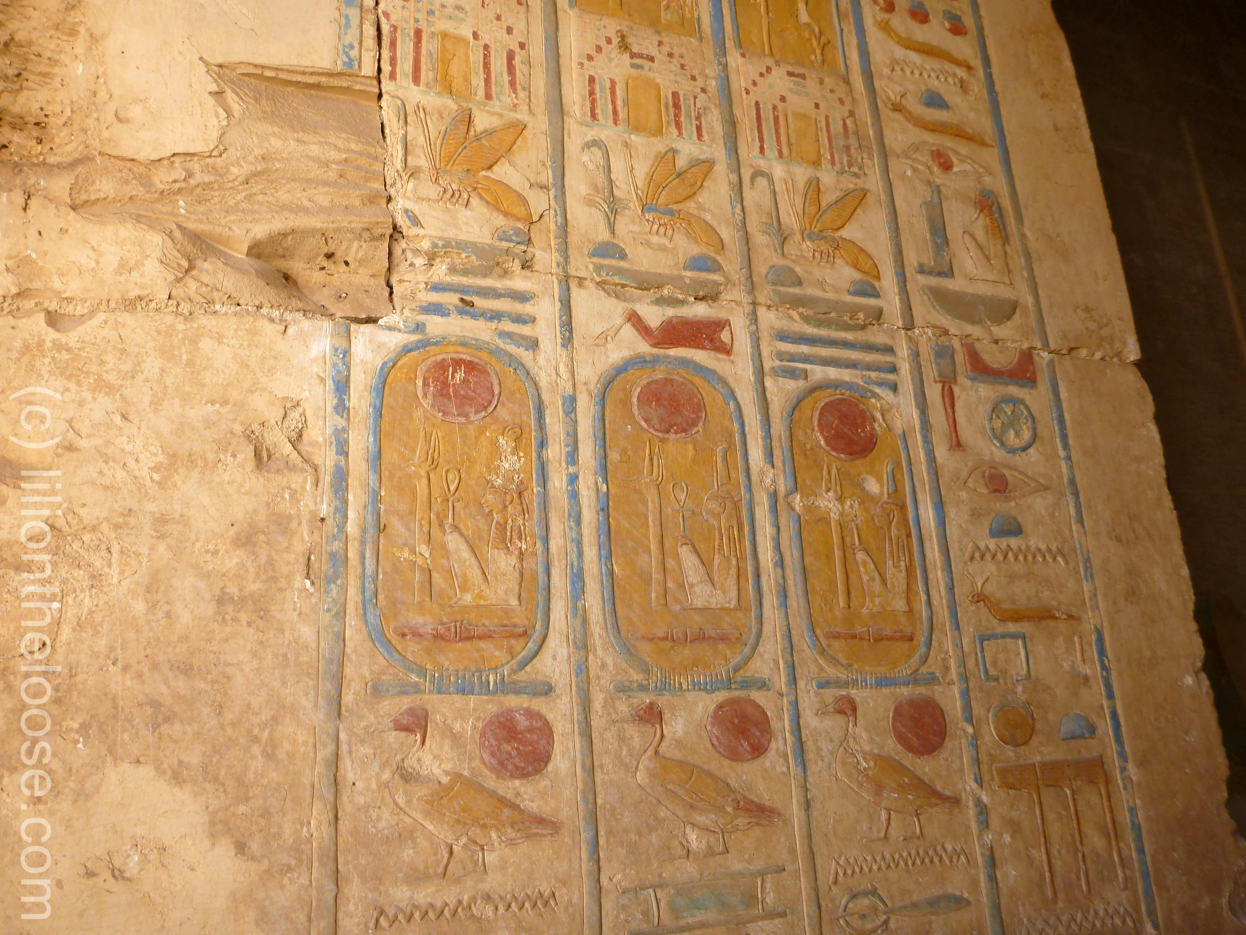 hieroglyphicscolor