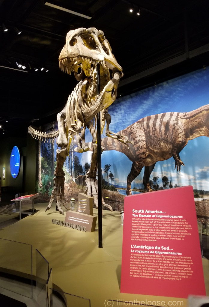 Museum Monday: Giganotosaurus - Lili on the Loose